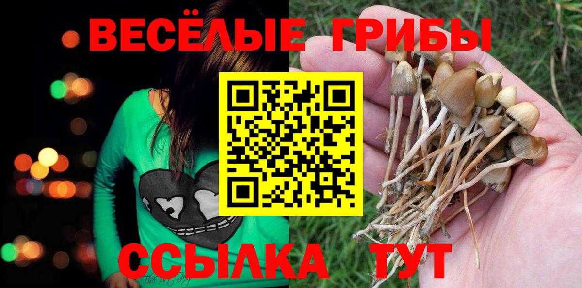 Галлюциногенные грибы GOLDEN TEACHER  Вход с VPN  Ишимбай 