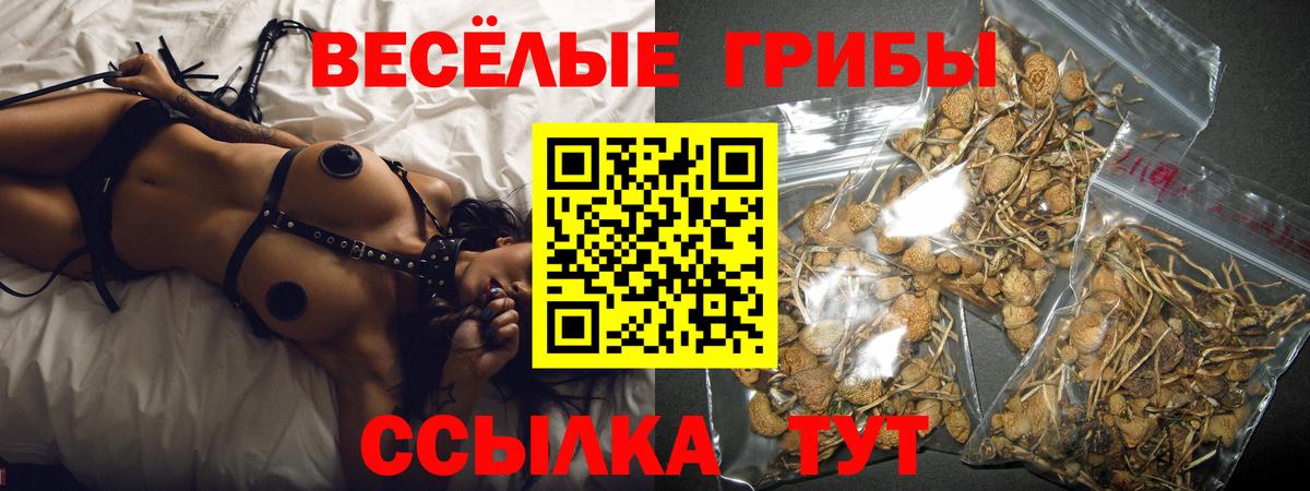 Галлюциногенные грибы Psilocybine cubensis Ишимбай